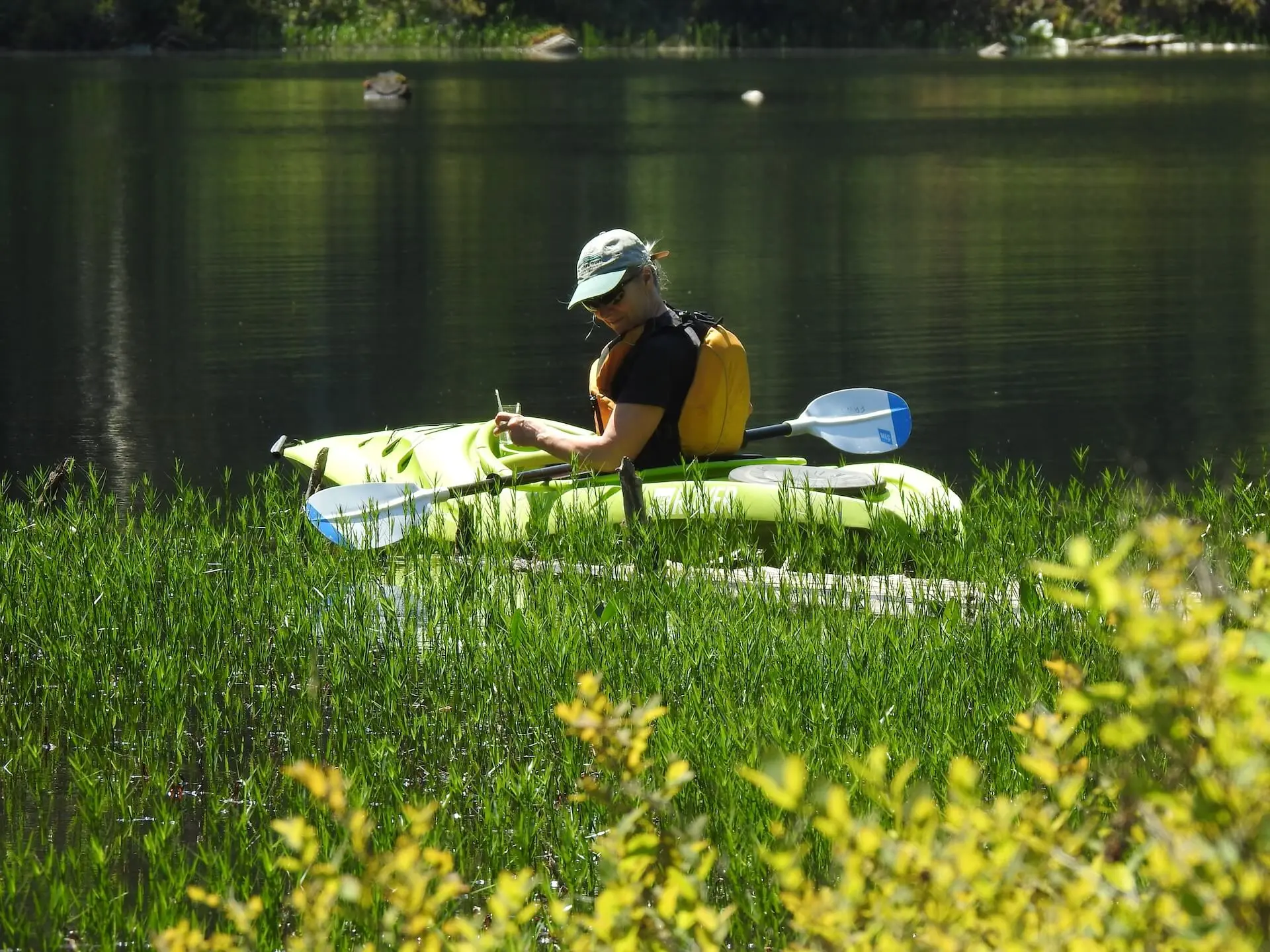 Featured image for “BC Parks Volunteer of the Year: Rachel Shephard”