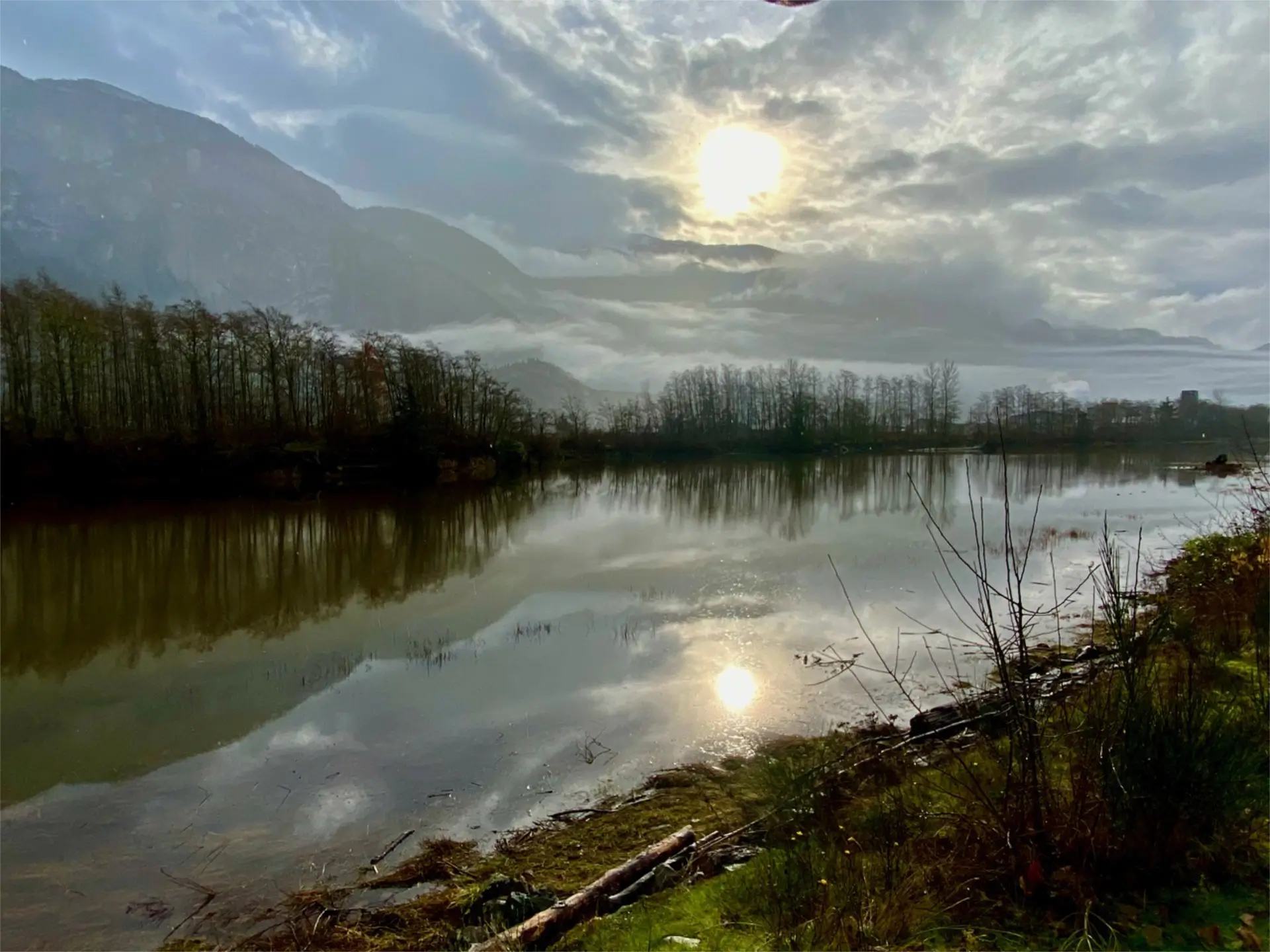 Featured image for “Valuing Natural Assets – an Exciting Perspective”